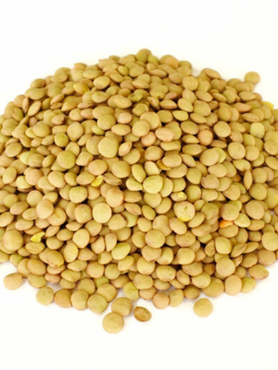 Φακές Χοντρές