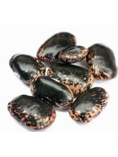 Γίγαντες Μάυροι