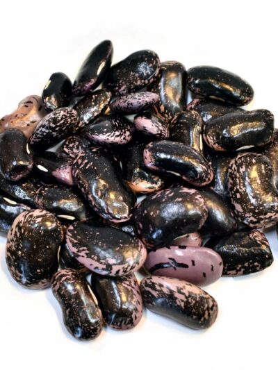 Γίγαντες Μώβ