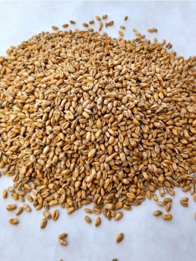 Στάρι (Πολύ βραστερό)