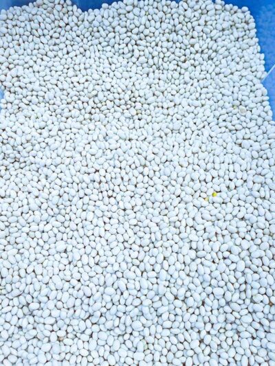 !Φασόλια Μέτρια Ψιλόφλουδα