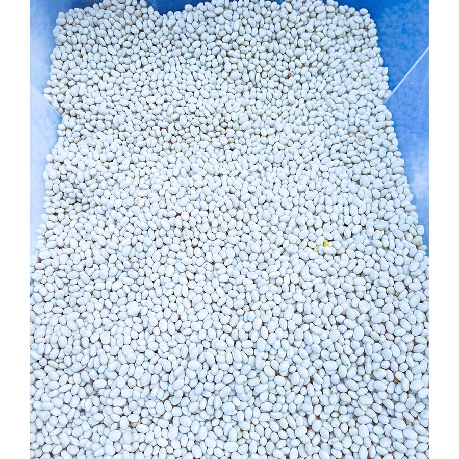 !Φασόλια Μέτρια Ψιλόφλουδα