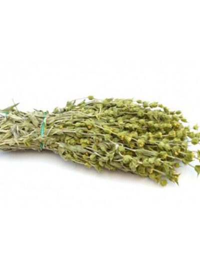 Βότανα - Τσάι Του Βουνού