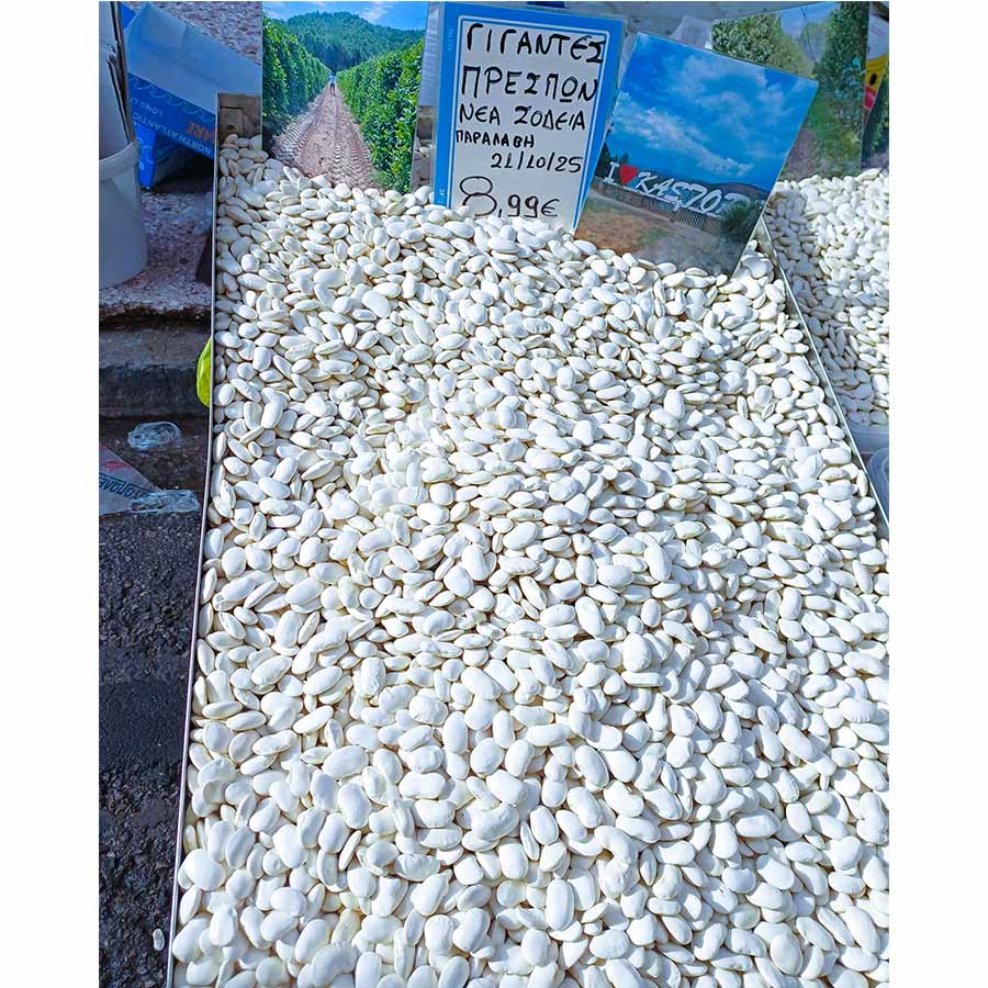 !!Γίγαντες ΠΟΛΥΤΕΛΕΙΑΣ Καστοριάς!!! 21/10/2025 Νέας Εσοδείας