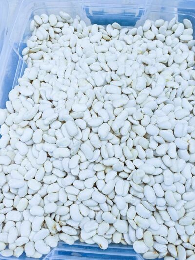 !Γίγαντες ΠΟΛΥΤΕΛΕΊΑΣ Καστοριάς 21/10/2025 Νέας Εσοδείας