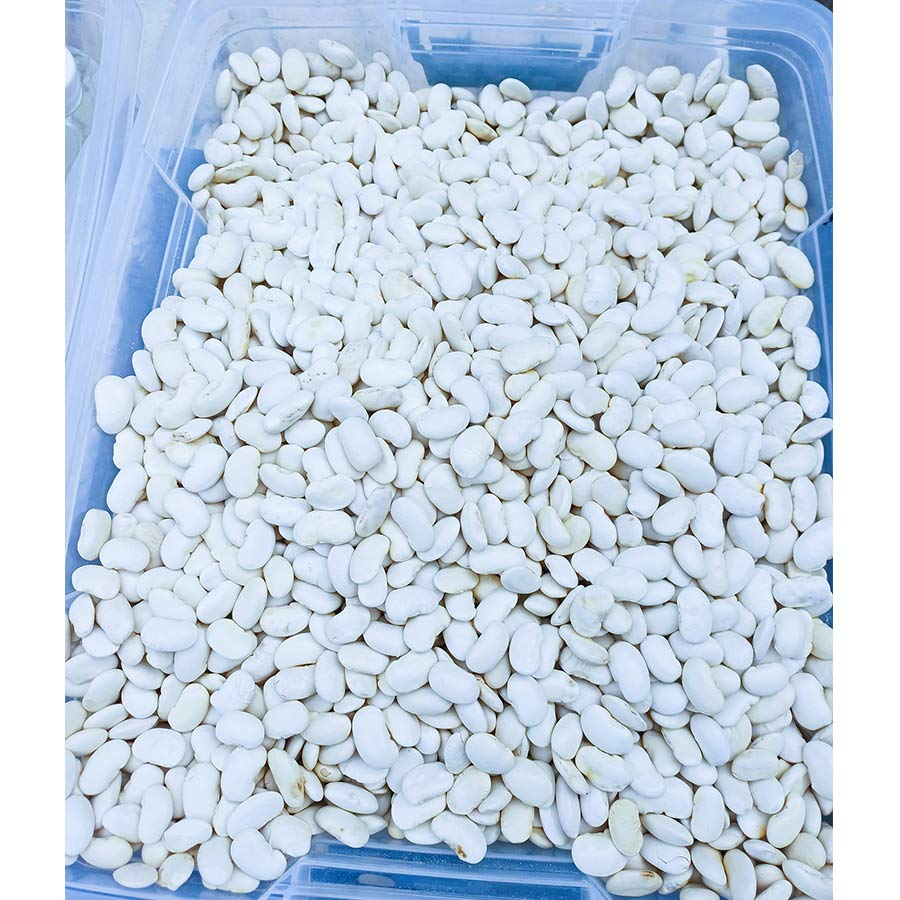 !Γίγαντες ΠΟΛΥΤΕΛΕΊΑΣ Καστοριάς 21/10/2025 Νέας Εσοδείας