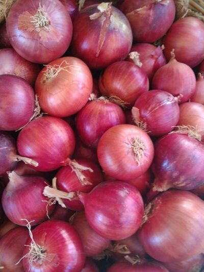 Κρεμμύδια Κόκκινα