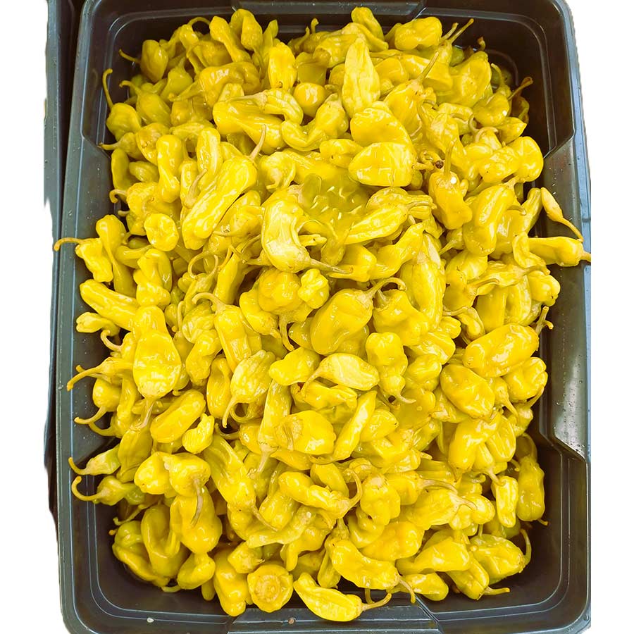 Τουρσί - Πιπεριές Φούσκα (Πελοπόννησο)