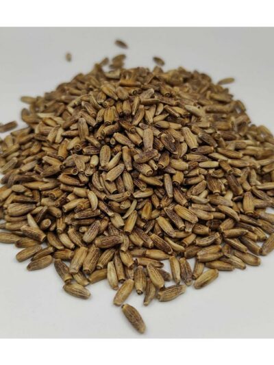 Βότανα - Γαϊδουράγκαθο Σπόροι