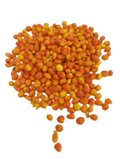 TIGER (Ολλανδίας)