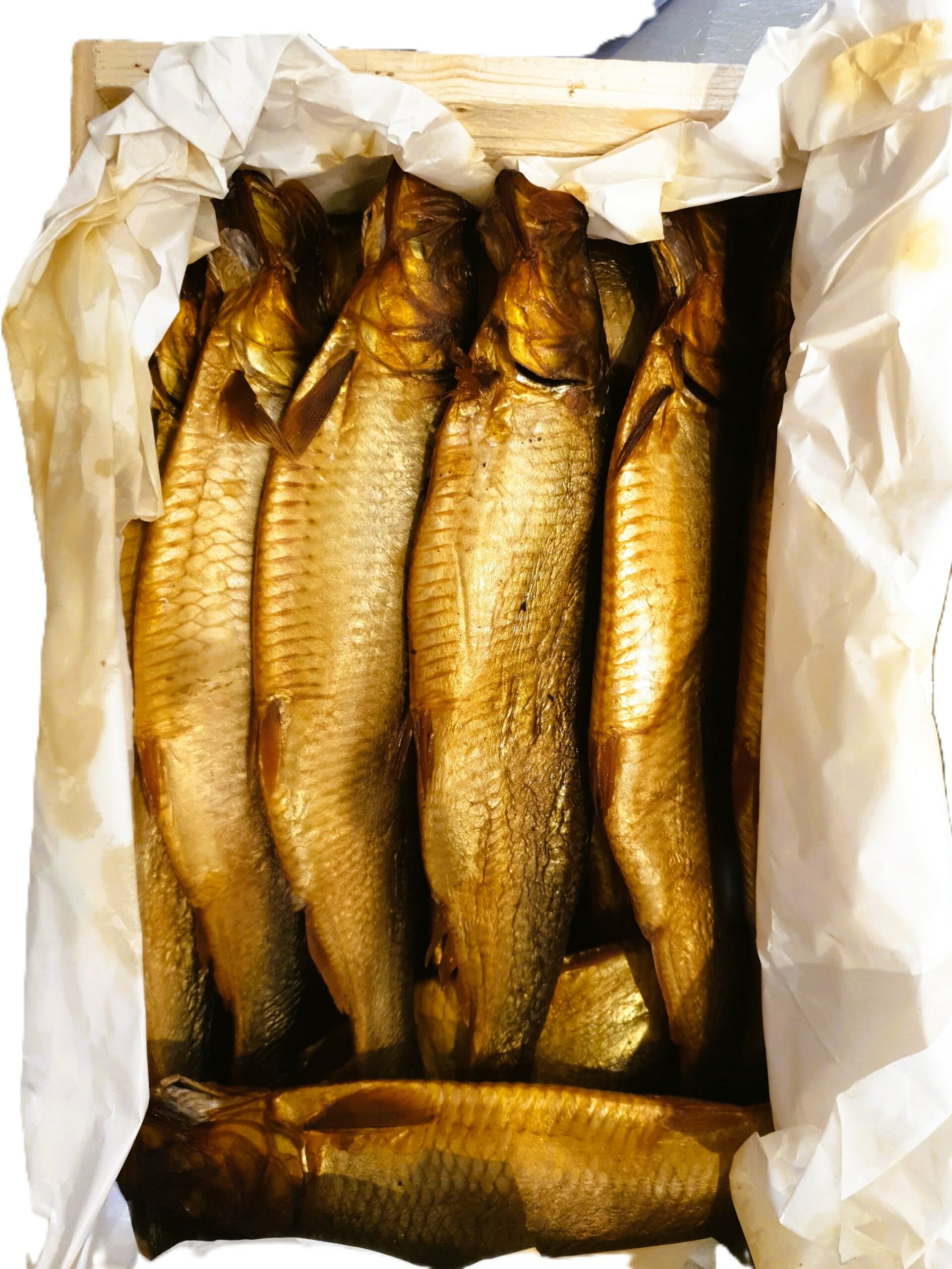 ΡΕΓΓΑ - ΚΑΠΝΙΣΤΗ