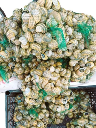 Σαλιγκάρια Πολυτελείας!!!