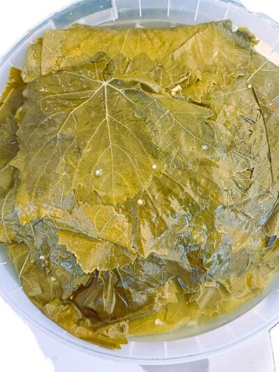 ΑΜΠΕΛΟΦΥΛΛΑ ΣΕ ΑΛΜΗ