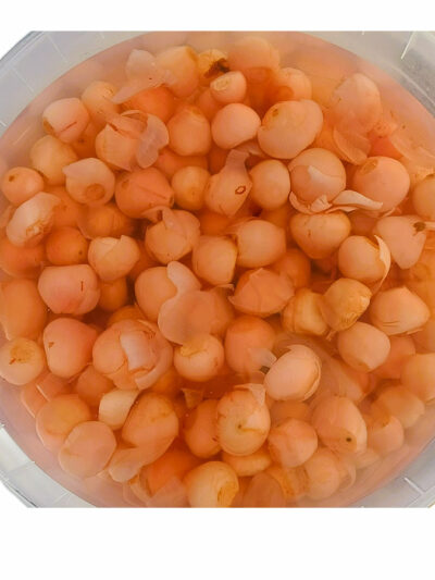 ΒΟΛΒΟΣ ΣΕ ΑΛΜΗ