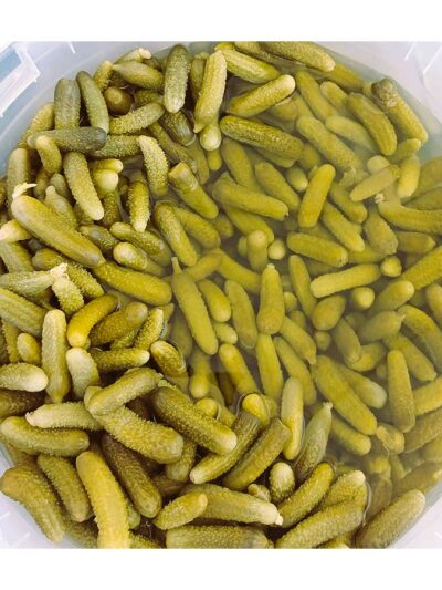 ΑΓΓΟΥΡΑΚΙ ΣΕ ΑΛΜΗ - ΠΟΛΥ ΨΙΛΟ